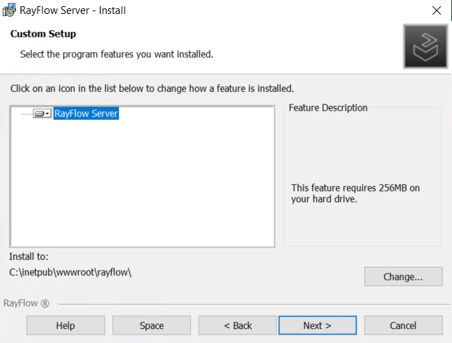 04_RayFlowServerInstall_CustomSetup