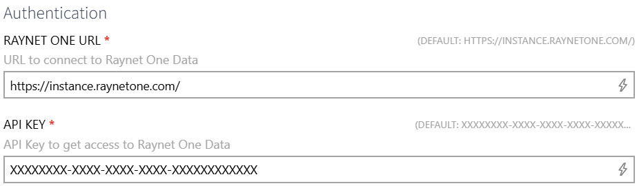 RaynetOneConnectorSetup