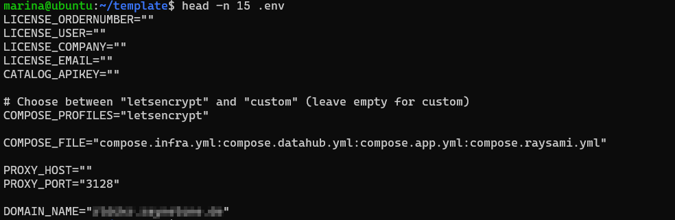 RaynetOne_InstallationGuide_blurredDomainName