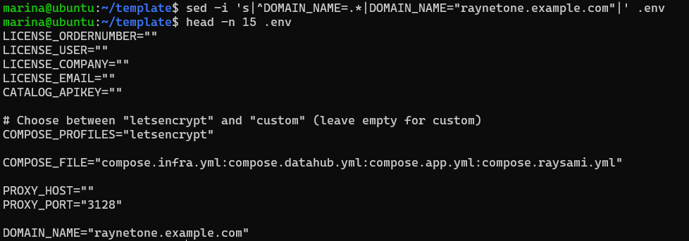 RaynetOne_InstallationGuide_SetDomainName