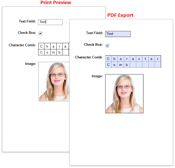 eurd-web-editing-fields-preview